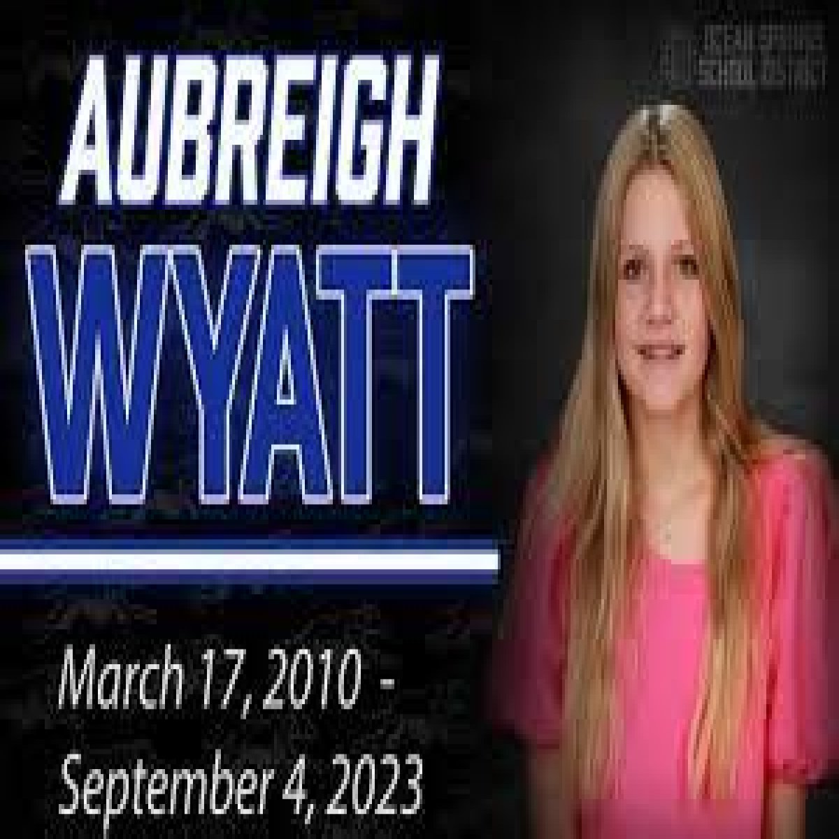 A Comprehensive Look Into The Aubreigh Wyatt Autopsy Report