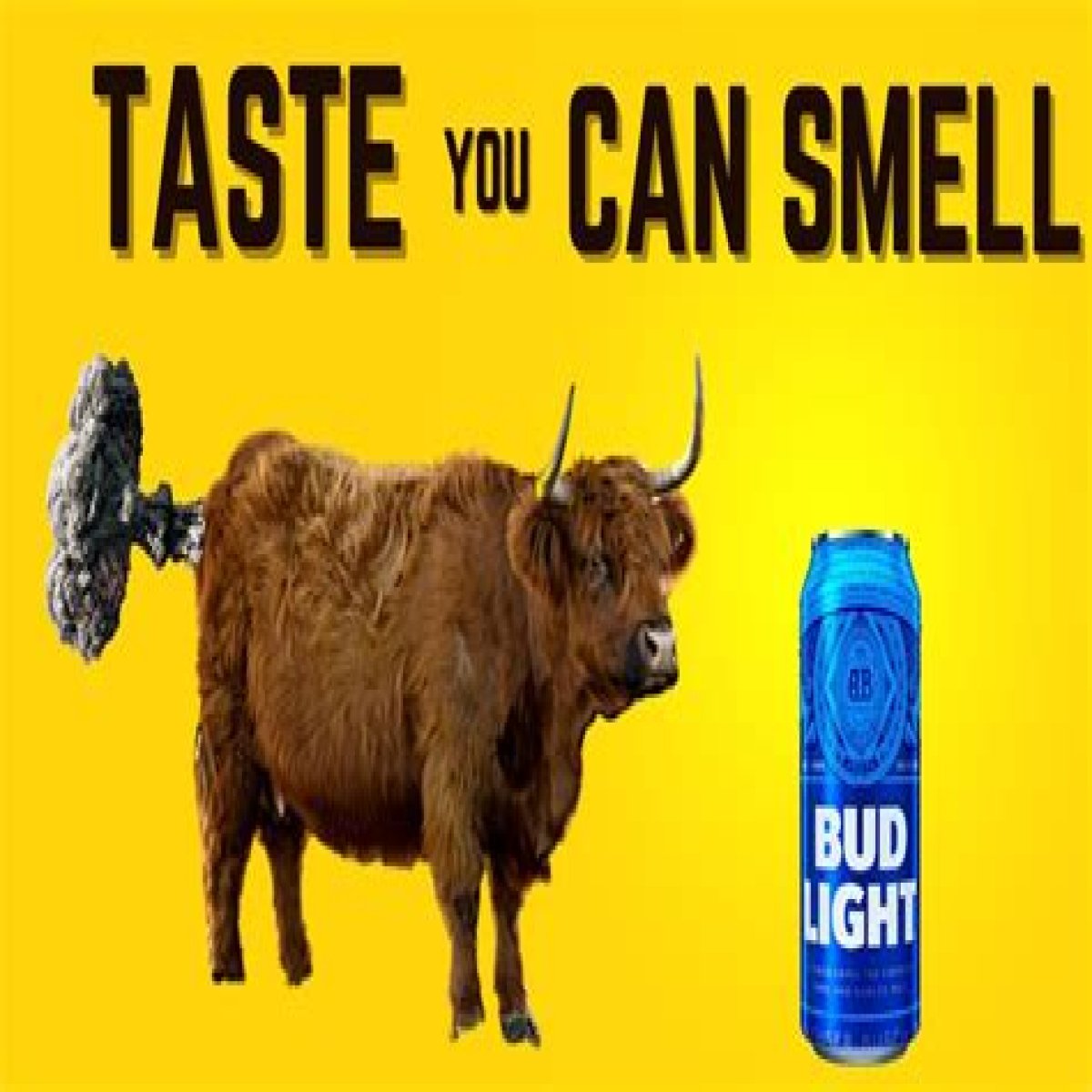A Deep Dive Into Budweiser Commercials