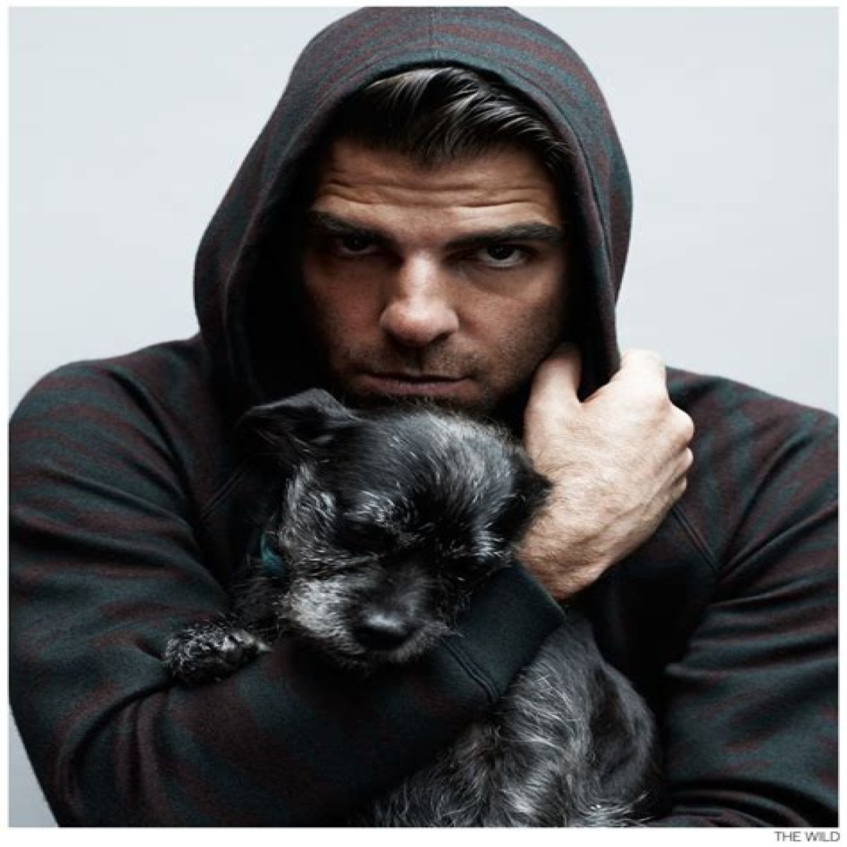 Has Zachary Quinto adopted kids?