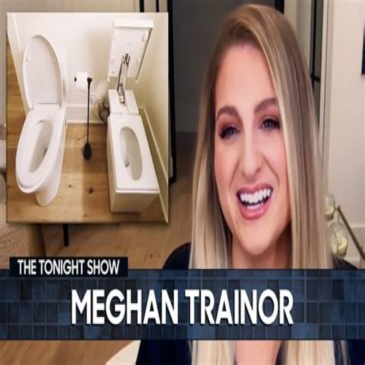 Meghan Trainor on her couples toilets: ‘This is the best thing about my house’