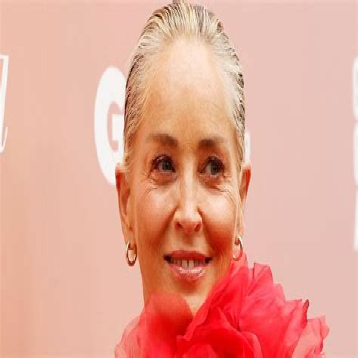 Sharon Stone, 56, hasn’t had a facelift & doesn’t want to be an ‘ageless beauty’