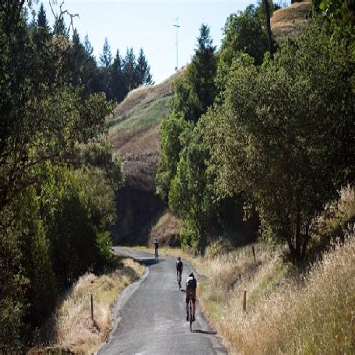 Tragedy Strikes The Cycling Community: Pro Cyclist Death 2024