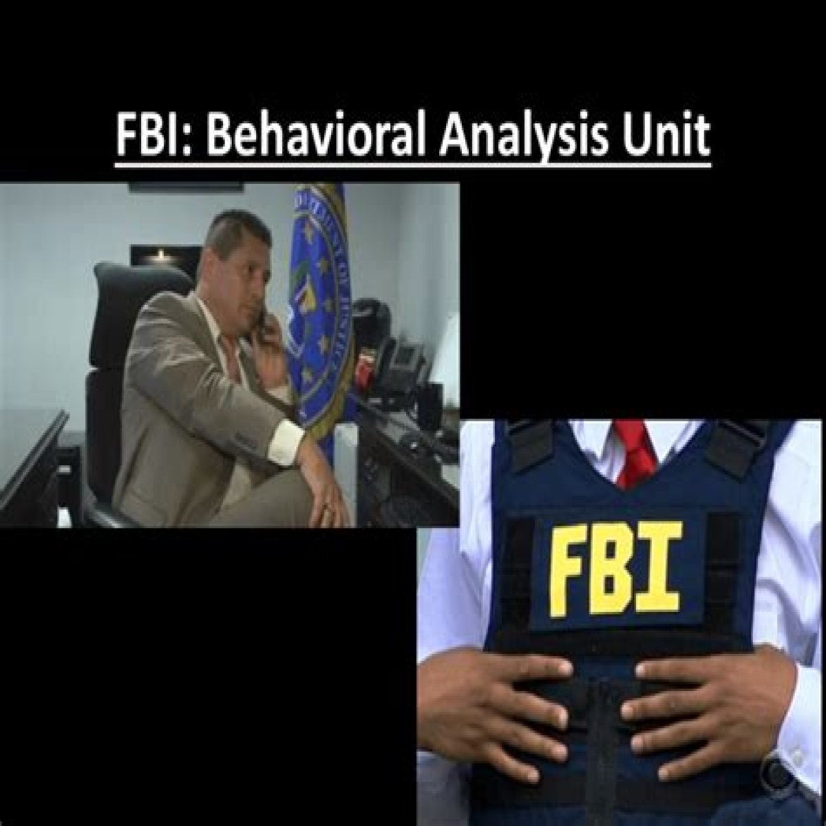 Unraveling The Mysteries Of The FBI's Behavioral Analysis Unit